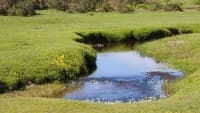 potok countryside-901965 1280